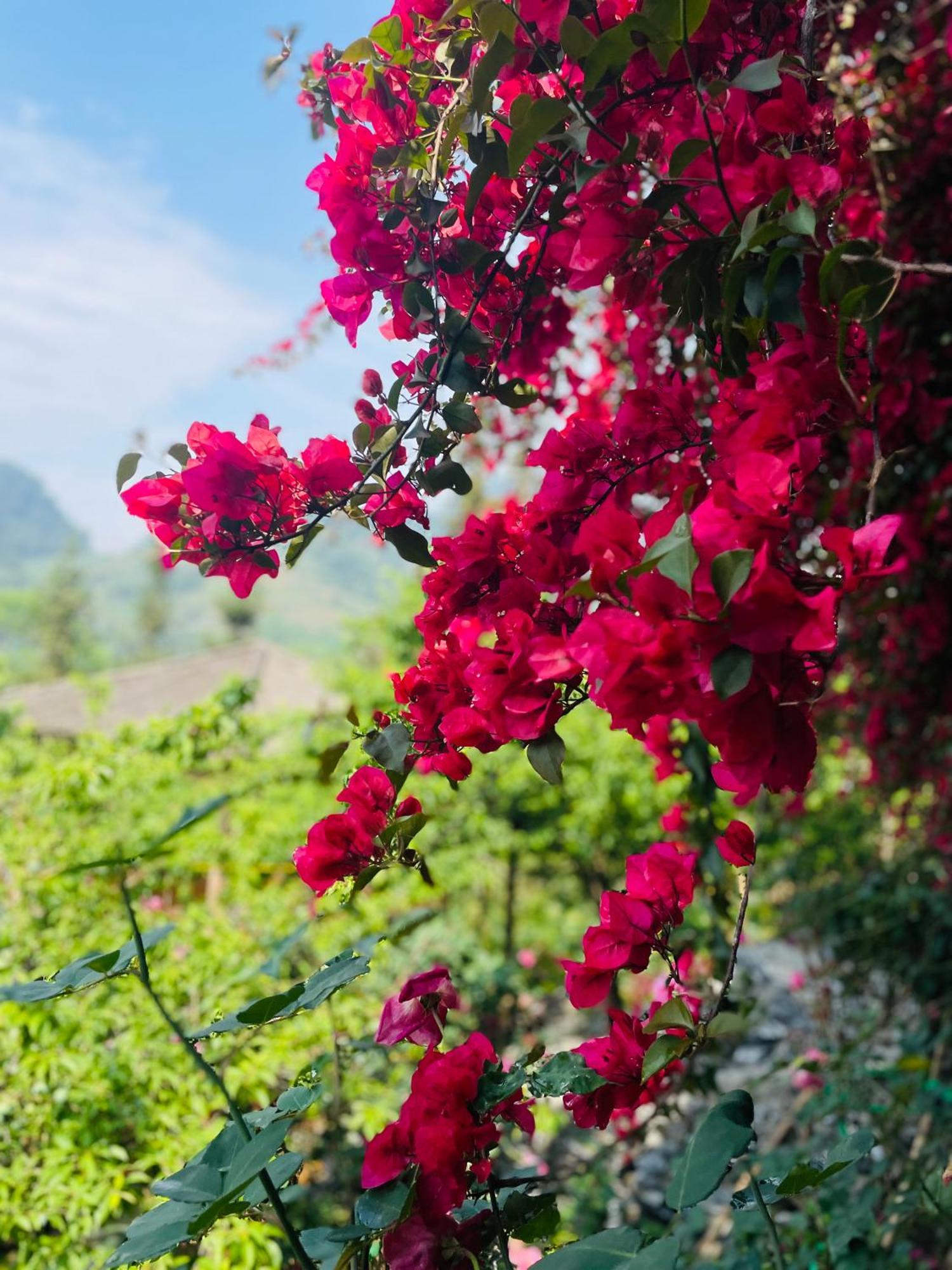 So H'Mong Homestay Bac Ha  Exterior foto